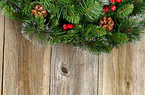 포토 JPG 해외이미지 전통 계절 열매 백그라운드 크리스마스 겨울 자연 휴가 기념 사람없음 목재 장식 빨간색 초록색 축제 화환 수확 시골 소나무 널 12월 오브젝트 솔방울 상록수 전나무 원뿔 가문비나무 카피스페이스 해외202004 해외포토 도형 나무 식물 기념일 꽃 컬러 농업 재료 공백 날짜 생태계 파일형식 이미지허브