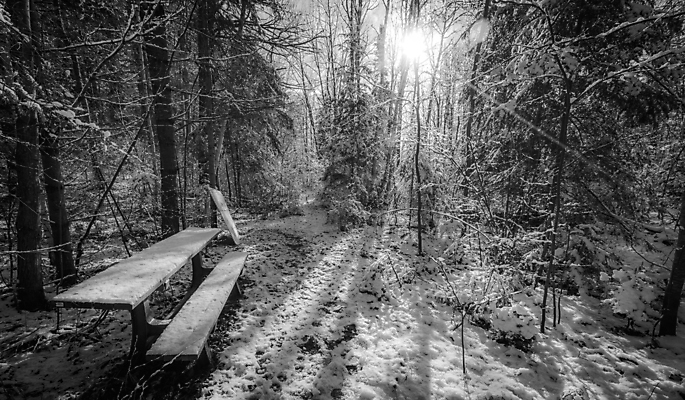 포토 JPG 해외이미지 나무 공원 잎 겨울 벤치 자국 그림자 사람없음 야외 목재 빛 햇빛 태양 맑음 침묵 추위 흰색 시골 신선 숲 서리 해외202004 해외포토 자연요소 식물 계절 공공시설 컬러 의자 재료 날씨 소리 파일형식 이미지허브