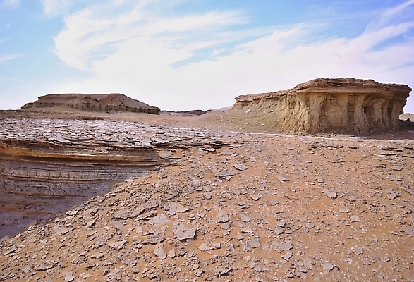 포토 JPG 해외이미지 나무 모래 아프리카 산 건조 이집트 손바닥 사람없음 사막 대추 사하라 서쪽 오아시스 해외202004 해외포토 식물 손 나라 방향 파일형식 이미지허브