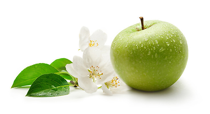 포토 JPG 해외이미지 식물 꽃 음식 줄기 농업 다이어트 과일 건강 사람없음 초록색 물 식사 주스 활발 젖음 흰색 물방울 신선 달콤 맛 떨어짐 사과 이슬 먹기 순수 오브젝트 상쾌 유기농 내추럴 고립 숙성 채식주의자 해외202004 해외포토 자연요소 웰빙 감정 산업 음료 컬러 컨셉 모션 채식 파일형식 이미지허브