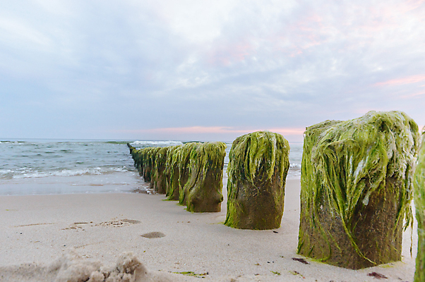포토 JPG 해외이미지 나무 식물 구름 계절 공원 실루엣 여행 백그라운드 밭 오렌지 자연 하늘 휴가 따뜻함 그림자 풍경 사람없음 야외 빨간색 초록색 여름 파란색 빛 햇빛 태양 노란색 평화 일출 환경 침묵 황혼 일몰 새벽 황금 저녁 숲 장면 내추럴 수평선 해외202004 해외포토 자연요소 공공시설 컬러 컨셉 농업 과일 촬영기법 노을 소리 야간 생태계 파일형식 이미지허브