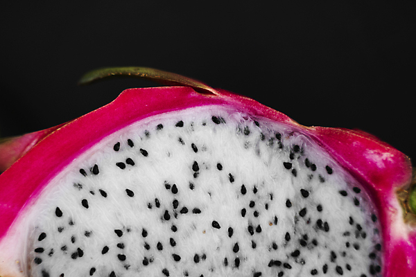 포토 JPG 해외이미지 아시아 음식 분홍색 조각 백그라운드 잎 다이어트 과일 태국 자연 선인장 건강 씨앗 동양인 사람없음 빨간색 초록색 여름 활발 흰색 용 신선 닫기 달콤 맛 자르기 먹기 유기농 날것 내추럴 고립 숙성 이국적 해외202004 해외포토 식물 웰빙 계절 나라 컬러 컨셉 모션 인종 생태계 파일형식 이미지허브