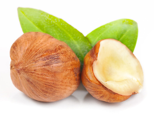 포토 JPG 해외이미지 재료 실내 사람없음 흰배경 개암나무 헤이즐넛 개암 해외202004 해외포토 나무 열매 백그라운드 내부 견과류 흰색 파일형식 이미지허브