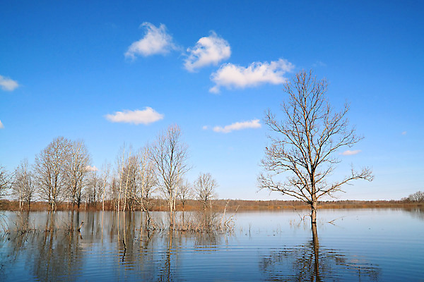 포토 JPG 해외이미지 나무 계절 공원 실루엣 호수 파도 오렌지 자연 하늘 기술 풍경 사람없음 야외 물 파란색 강 햇빛 반사 갈색 평화 수영 침묵 봄 거울 나뭇가지 오픈 화려 황무지 숲 홍수 싱크대 질감 러시아 마법 엘리먼트 재앙 수평선 해외202004 해외포토 자연요소 식물 공공시설 유럽 바다 컬러 컨셉 과일 촬영기법 태양 소리 수상스포츠 자연재해 개수대 생태계 파일형식 이미지허브