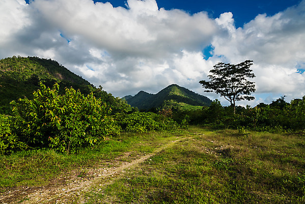 포토 JPG 해외이미지 나무 식물 구름 여행 백그라운드 자연 하늘 휴가 산 풍경 사람없음 가로 초록색 여름 봄 숲 절정 해외202004 해외포토 자연요소 계절 컬러 생태계 파일형식 이미지허브
