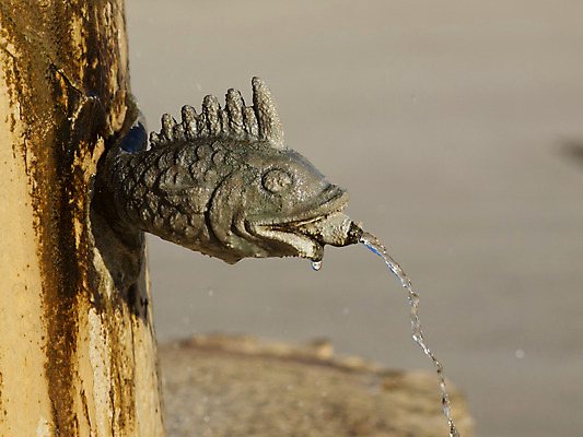 포토 JPG 해외이미지 자연 어류 소년 사람없음 장식 초록색 물 조각상 평화 정원 침묵 연못 당구 분수 청동 해외202004 해외포토 자연요소 남자 어린이 컬러 컨셉 조형물 구기 수중동물 소리 생태계 파일형식 이미지허브