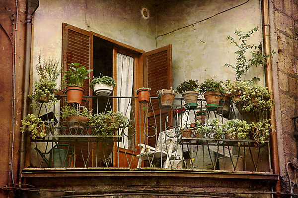 포토 JPG 해외이미지 식물 라이프스타일 외관 여행 건축양식 창문 휴가 창조 사람없음 야외 가로 이탈리아 수확 골동품 발코니 도시 질감 복고 그런지 썩음 옛날 해외202004 해외포토 건축 유럽 농업 생활 파일형식 이미지허브