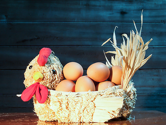 포토 JPG 해외이미지 동물 캐릭터 디자인 응시 행복 음식 농업 응원 조류 휴가 부활절 병아리 육류 미술 사람없음 장식 농장 갈색 노란색 계란 치킨 시골 큼 만화 깃털 호기심 그림 생물학 부리 밀짚 고립 암탉 해외202004 해외포토 시선 교육 기념일 감정 산업 컬러 컨셉 식재료 문화예술 알 닭 짚 크기 암컷 닭고기요리 파일형식 이미지허브