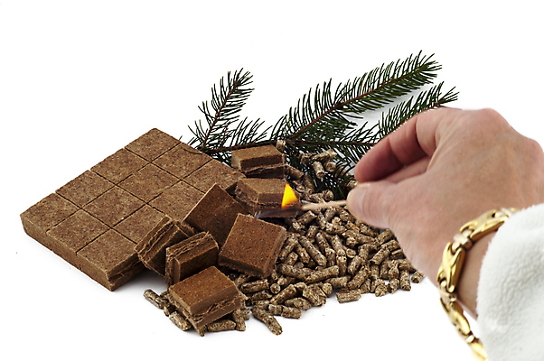 포토 JPG 해외이미지 꽃 잎 불 경기 사람없음 목재 초록색 라벨 에너지 흰색 장작 난로 유기농 생태계 벽난로 난방 라이터 생태학 실린더 경제학 해외202004 해외포토 자연요소 나무 식물 웰빙 교육 스포츠 컬러 재료 프레임 경제 난방기 파일형식 이미지허브