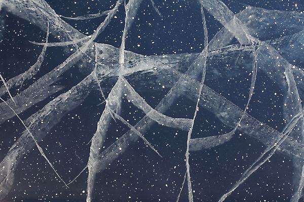 포토 JPG 해외이미지 계절 백그라운드 겨울 패턴 자연 추상 스트레스 사람없음 야외 물 냉동 얼음 웹 손상 추위 네트워크 투명 균열 파편 신비 시원함 무서움 거미줄 묘사 질감 빙하 서리 거미 온도 분열 층 긴장 내추럴 깊이 깨짐 분할 특별함 해외202004 해외포토 자연요소 감정 곤충 컨셉 무늬 인터넷 모션 생태계 파일형식 이미지허브