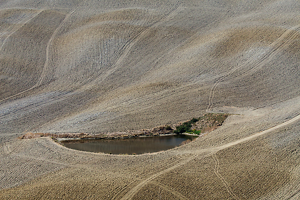 포토 JPG 해외이미지 나무 선 패턴 밭 농업 자연 건조 풍경 사람없음 여름 평화 환경 고요 이탈리아 사막 달력 성장 가을 시골 만취 언덕 부식 그림 포도밭 장면 시에나 토스카나 해외202004 해외포토 식물 계절 유럽 산업 컨셉 무늬 생태계 술취함 파일형식 이미지허브