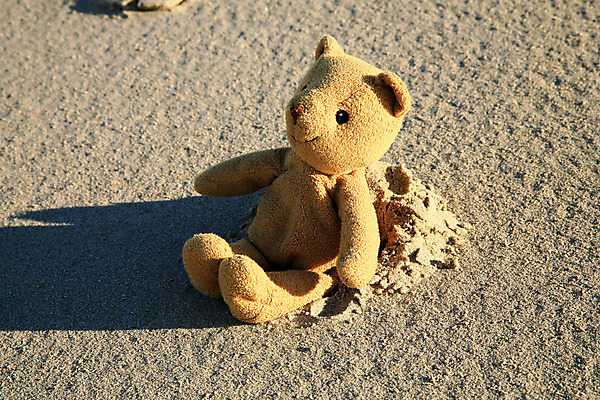 포토 JPG 해외이미지 동물 1 어린이 모래 따뜻함 그림자 앉기 사람없음 빛 장난감 햇빛 곰인형 아기 기다림 고독 그늘 발자국 왼쪽 버리기 오브젝트 싱글 부드러움 노크 마스코트 분실 인기 혼자 해외202004 해외포토 감정 인형 자국 모션 사람 태양 감각 방향 파일형식 이미지허브