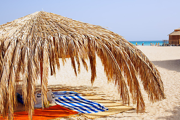 포토 JPG 해외이미지 나무 모래 바다 여행 자연 하늘 휴가 손바닥 사람없음 물 여름 파란색 평화 석호 파라다이스 해외202004 해외포토 자연요소 식물 손 계절 컬러 컨셉 생태계 파일형식 이미지허브