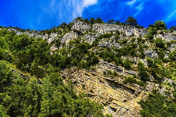 포토 JPG 해외이미지 나무 바다 여행 자연 하늘 휴가 산 풍경 경사 사람없음 야외 초록색 물 여름 파란색 맑음 절벽 바위 멀리 내추럴 울퉁불퉁 절정 콜로라도 해외202004 해외포토 자연요소 식물 계절 컬러 날씨 미국 돌_바위 생태계 파일형식 이미지허브
