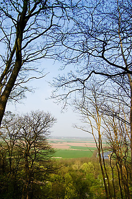 포토 JPG 해외이미지 나무 밭 농업 하늘 풍경 사람없음 야외 초록색 물 여름 파란색 강 봄 개울 숲 네덜란드 해외202004 해외포토 자연요소 식물 계절 유럽 산업 컬러 파일형식 이미지허브
