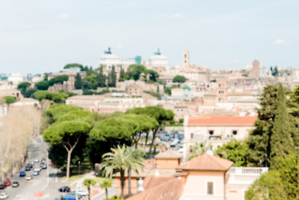 포토 JPG 해외이미지 나무 여행 사람없음 야외 건물 물 도시풍경 성당 이탈리아 소프트포커스 로마 해외202004 해외포토 자연요소 식물 건축물 유럽 종교건축 촬영기법 풍경 도시 파일형식 이미지허브