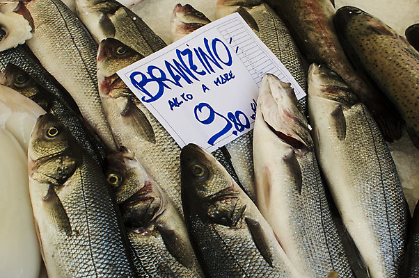 포토 JPG 해외이미지 동물 음식 바다 건강 저울 어류 사람없음 야외 물 강 주방 수영 식사 죽음 신선 입 시장 구매 지중해 먹기 해산물 날것 베이스 어안 오메가 디테일 해외202004 해외포토 자연요소 모션 현악기 신체부위 쇼핑 수중동물 수상스포츠 파일형식 이미지허브